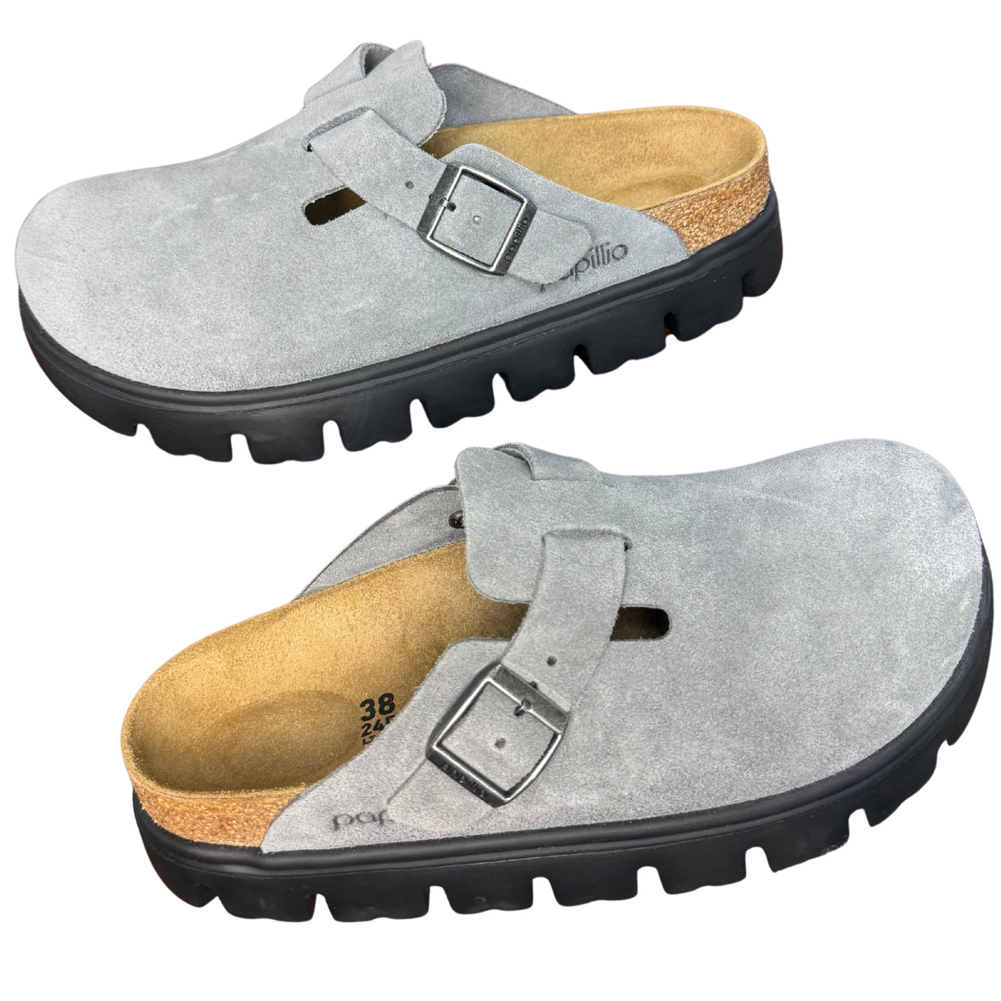 Boston Papillio Chunky