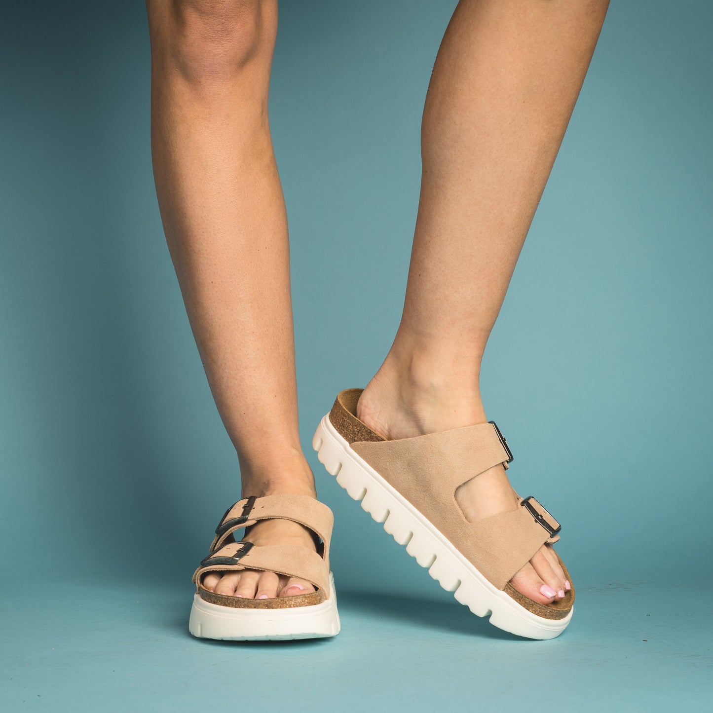 Arizona Papilio Chunky