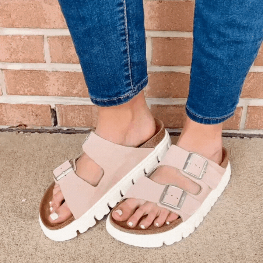 Arizona Papilio Chunky