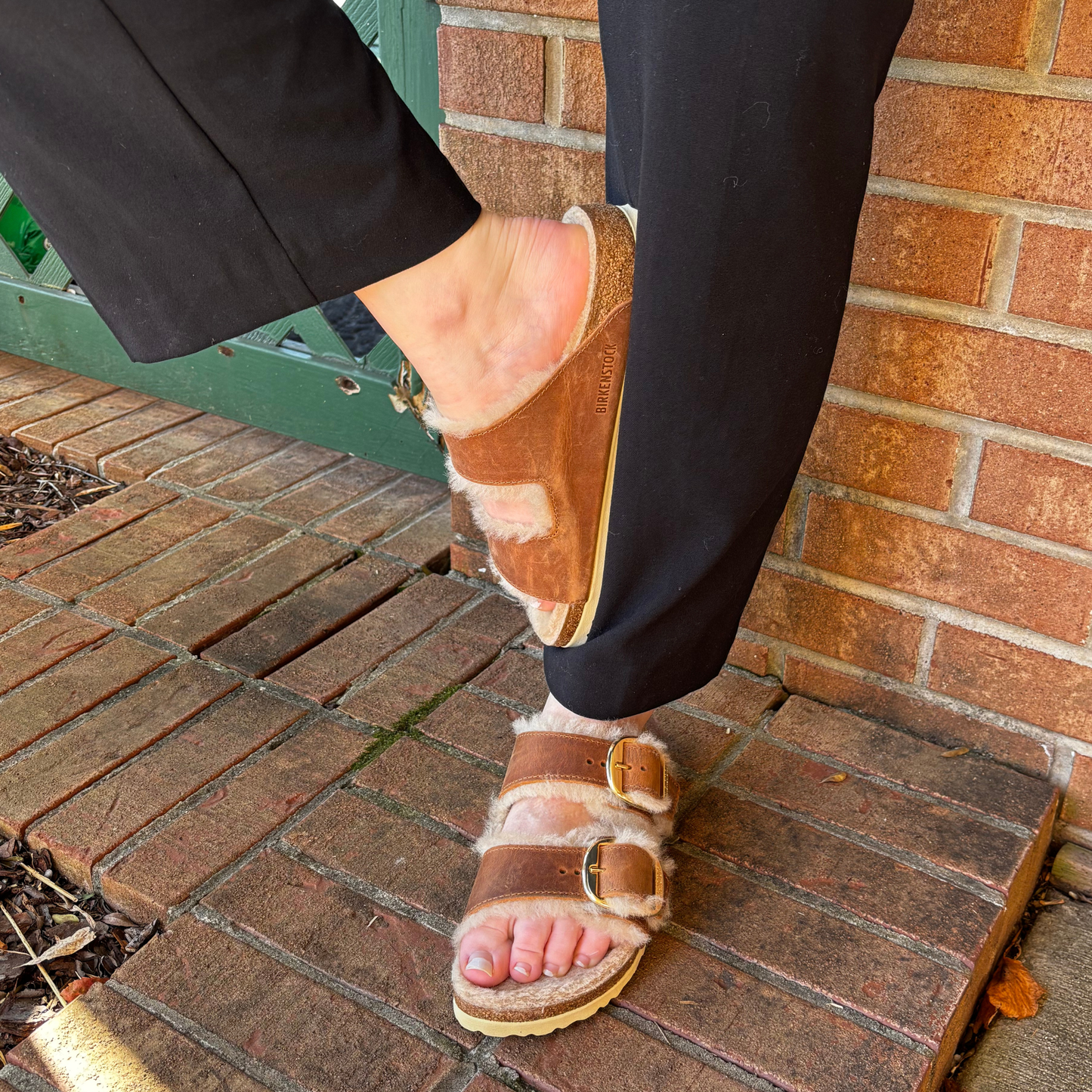 Arizona Big Buckle Shearling