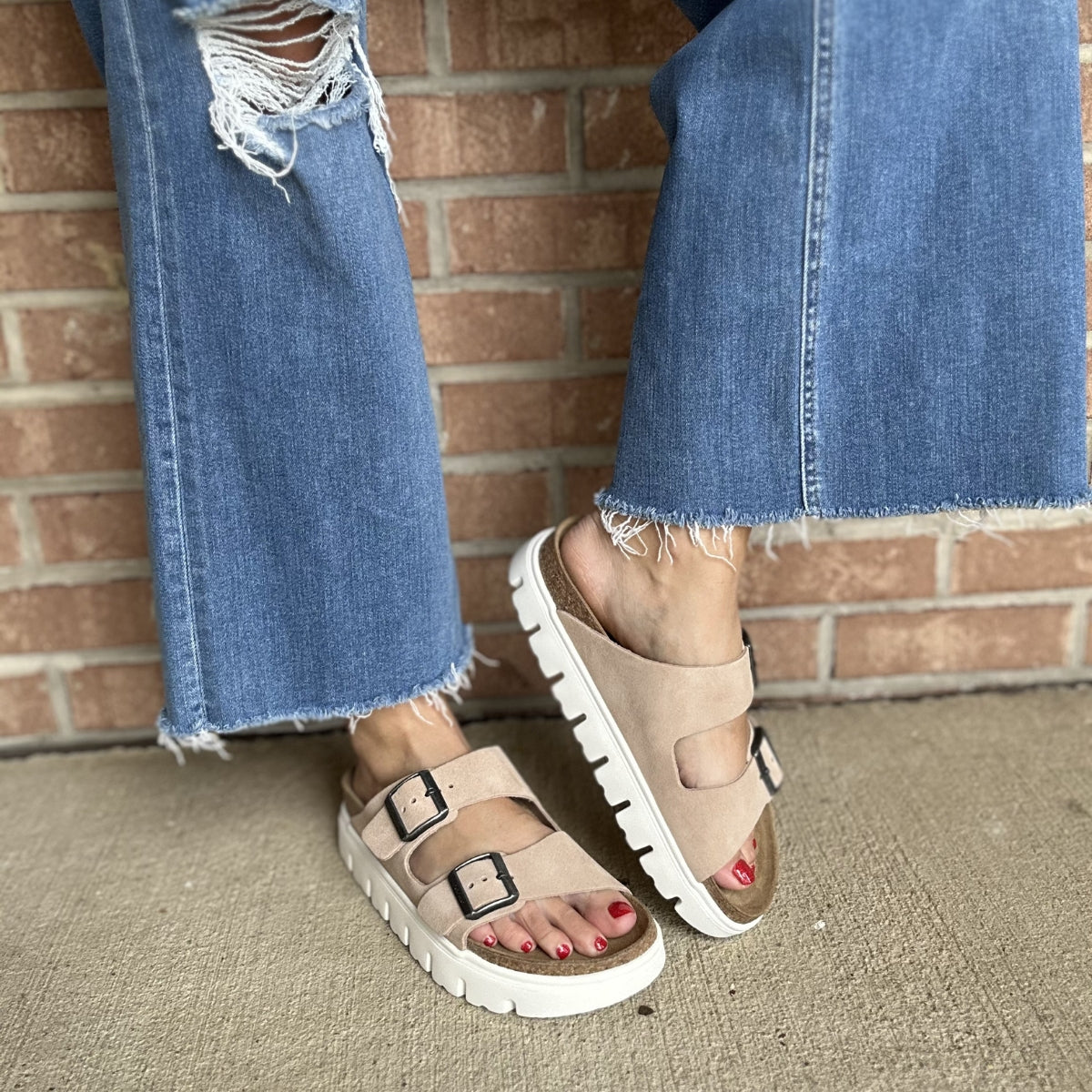 Arizona Papilio Chunky